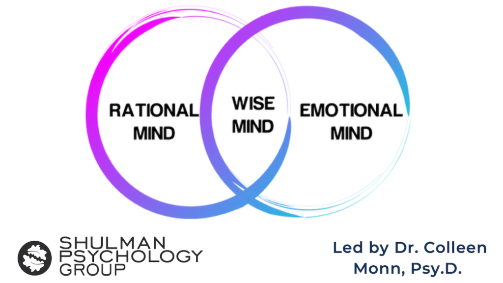 Dialectical Behavior Therapy Group